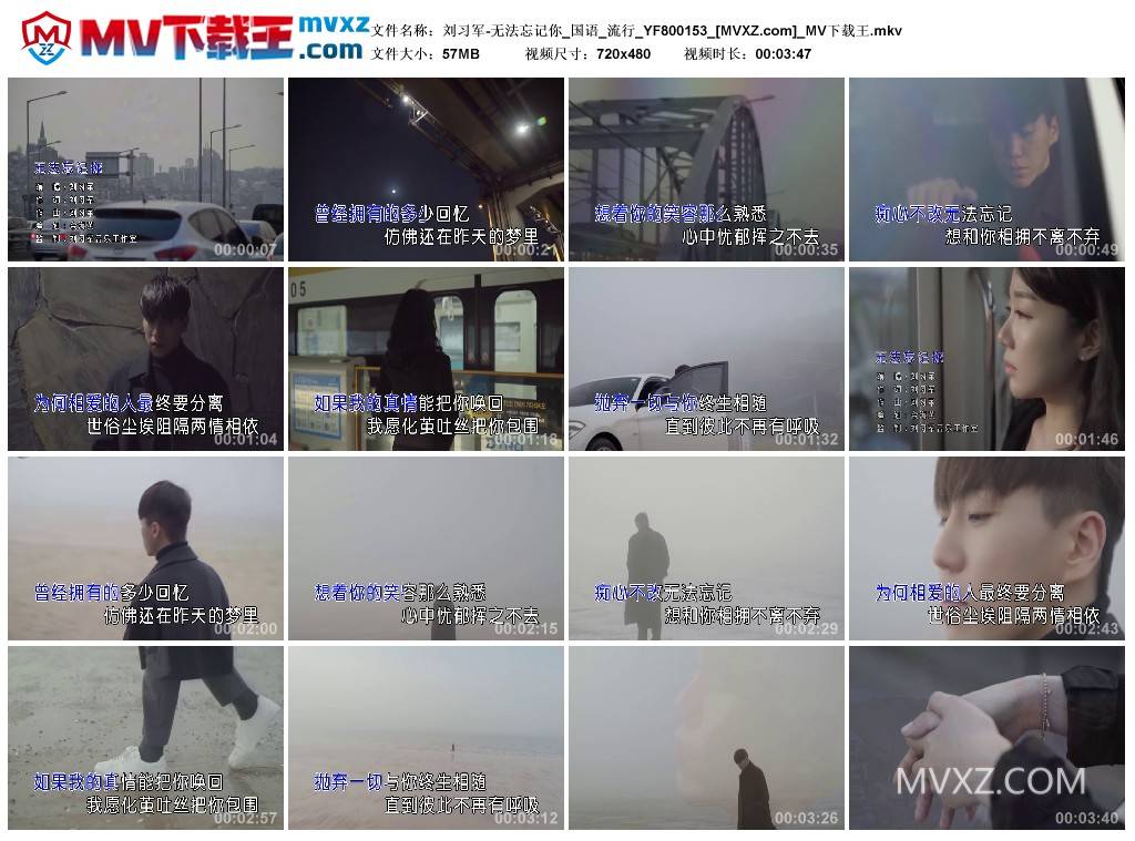 刘习军-无法忘记你_国语_流行_YF800153